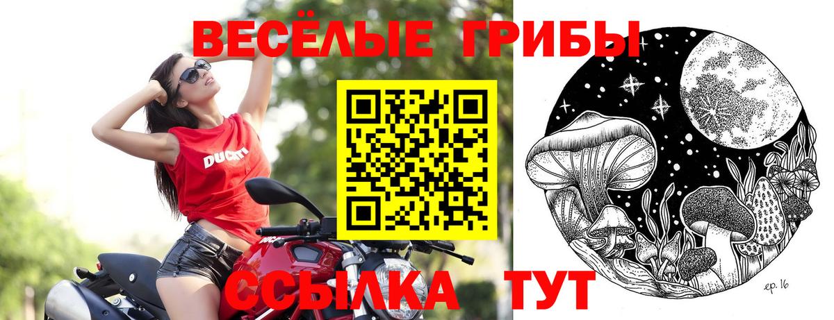 Галлюциногенные грибы Cubensis Екатеринбург