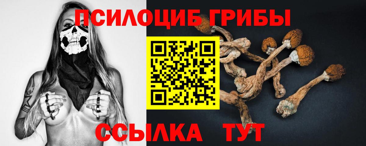 Екатеринбург  Псилоцибиновые грибы Cubensis  Вход с VPN 